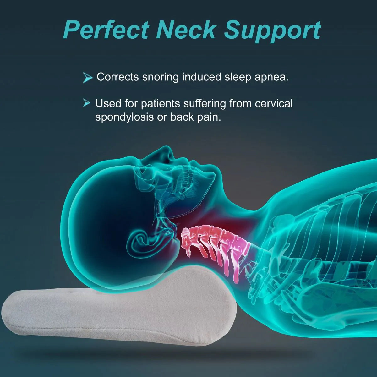 🛌 Cervical Pillow Regular™